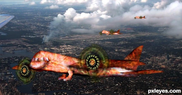 Creation of Fleshy Airlines: Final Result